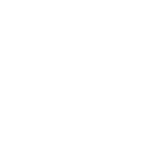 NSIGNIS logo