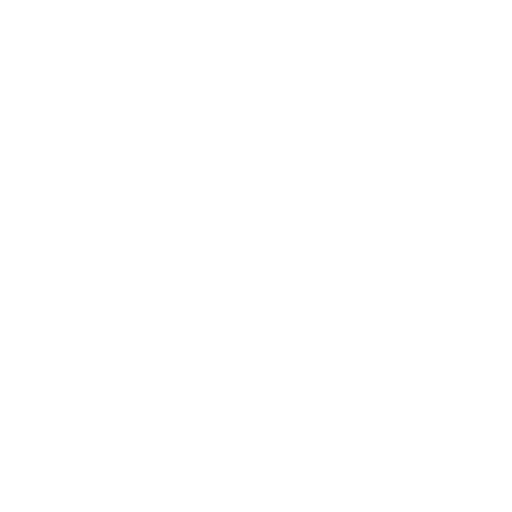 NSIGNIS STUDIO logo